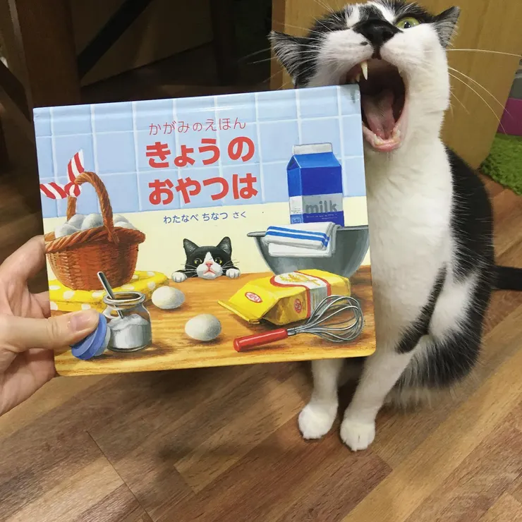 《きょうのおやつは》(今天的點心)