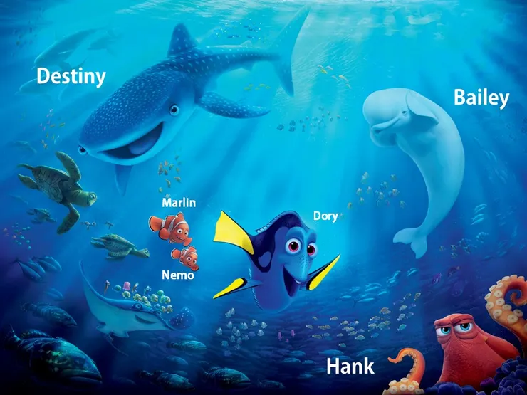 漢克船長（Captain Hank）暱稱源自電影《海底總動員2 - Finding Dory》