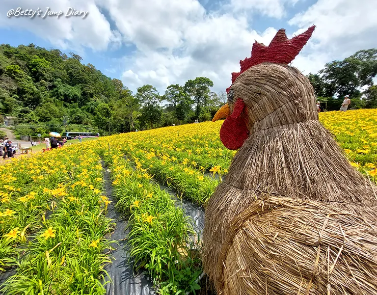 ▲2025花現台七「桃園繡球金針農遊趣」/ 圖片來源：Betty's Jump Diary