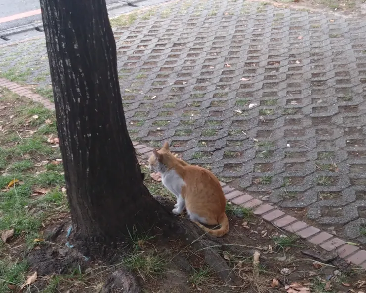 生活小確幸啊！