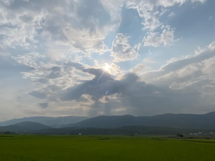 太陽竄出頭來了，好熱
