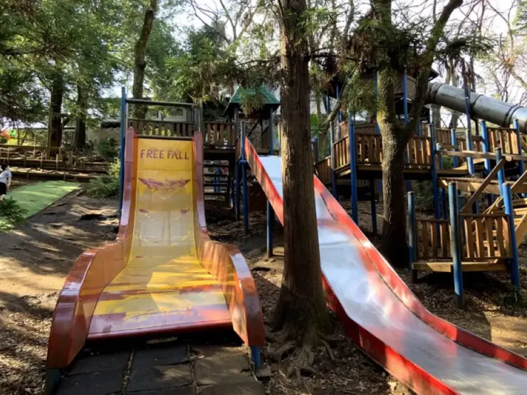 這個黃色的free fall前面一部分是垂直於地面的，我和孩子被嚇退了。😂