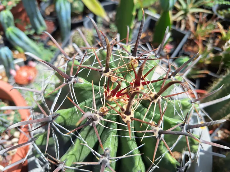 2025年3月9日拍攝