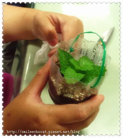 很認真的巧手！