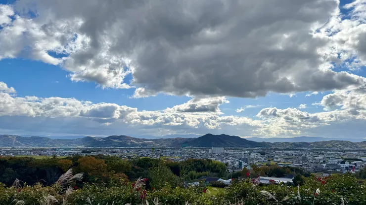 在中途休息站看到的美景