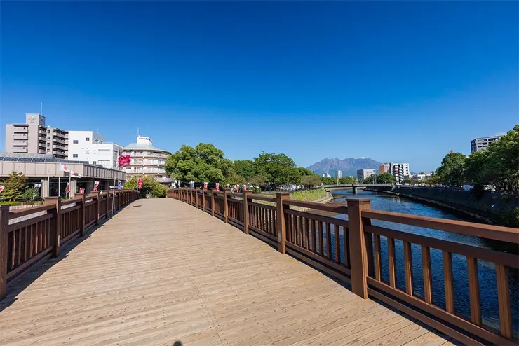 南洲橋是一座橫跨小月川的步行橋，河岸兩岸，櫻花樹成行。圖／鹿兒島縣觀光網站