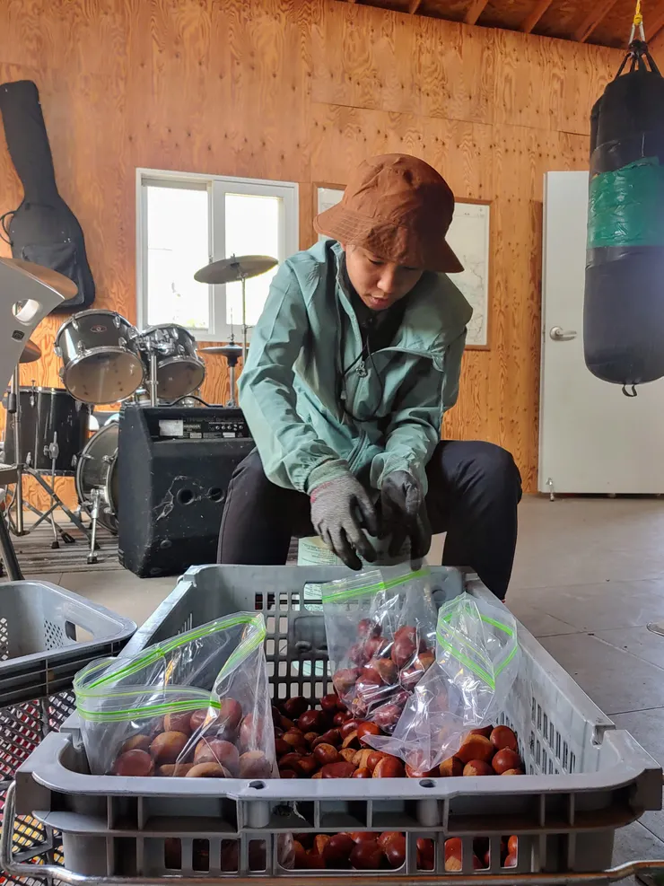 H 拍的認真工作的我