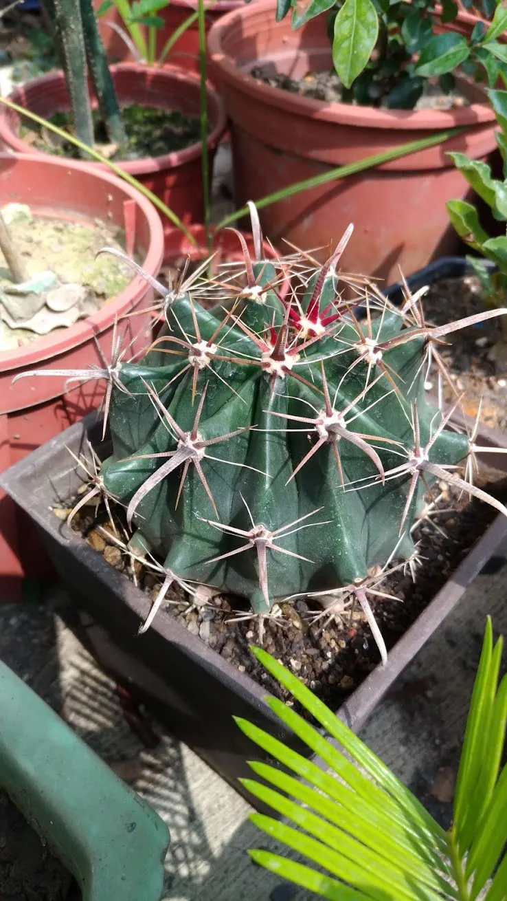 2019年10月4日拍攝