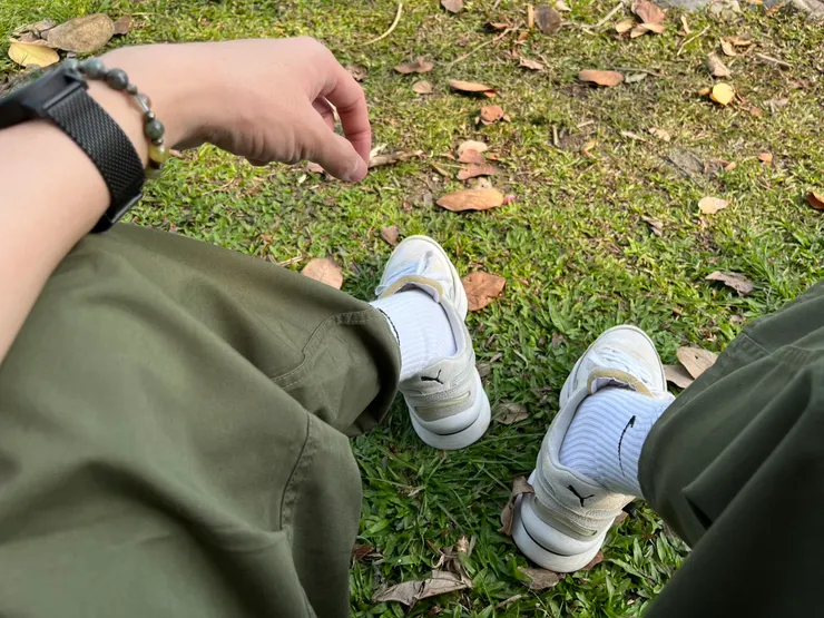 南風吹來的時候,溫潤的空氣裡可以聞到樟樹的花香。舉目看過去,湖對岸真的有一棵開滿花的樟樹。