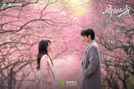 櫻花樹海下表白