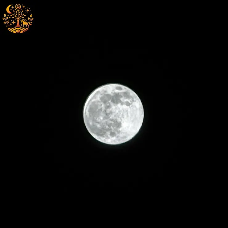 照片感謝好友浣熊小姐提供!