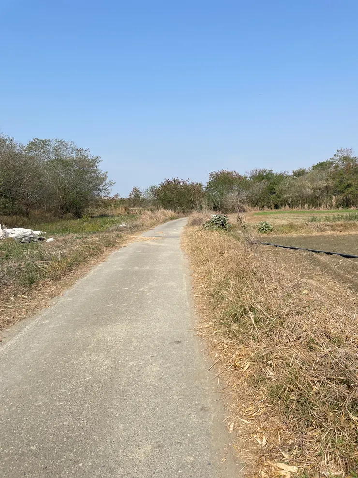 下堤防後一望無際的黃土路