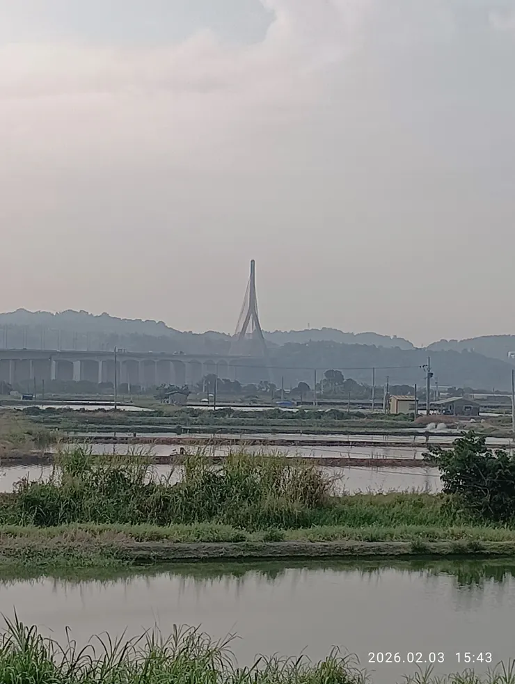 臨晚池暝，斜張橋邊池養殖泰國蝦