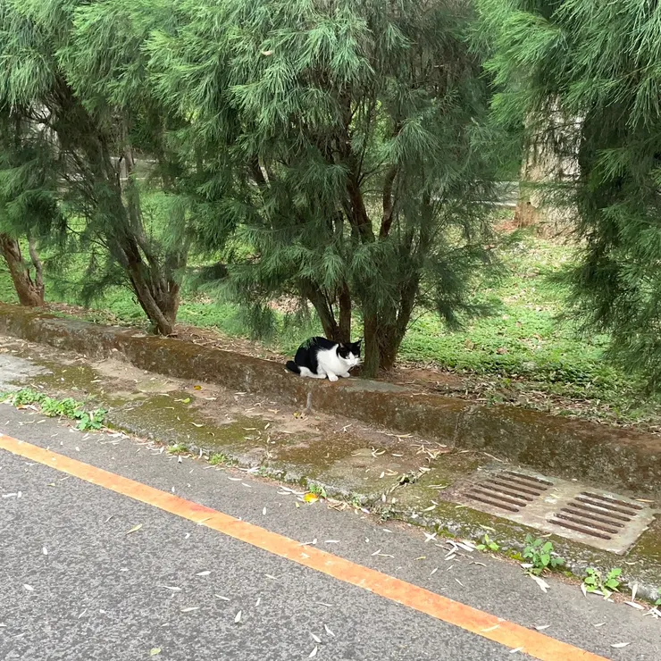 2026/02/24 學長拍的