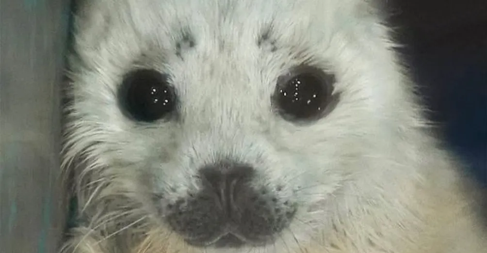 26歲努力上班投資鴻海的白領女孩