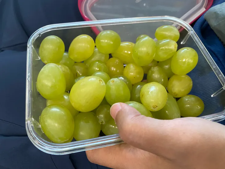 昨天市場買的青葡萄香甜又多汁（回台灣入境前吃掉就好）