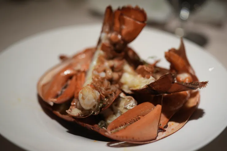 加拿大空運直送活龍蝦