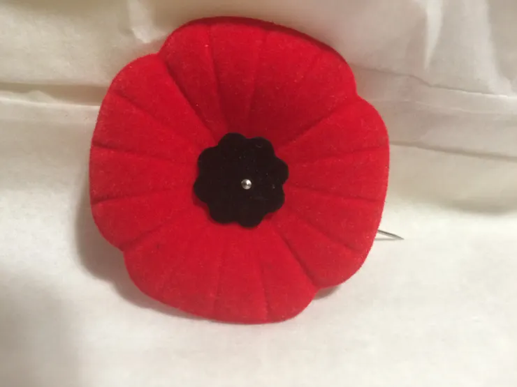 加拿大國殤日的紀念襟花：poppy （虞美人花）