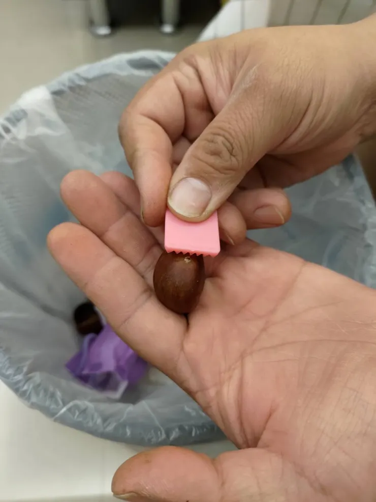 作者拍攝,我平常剝栗子方式