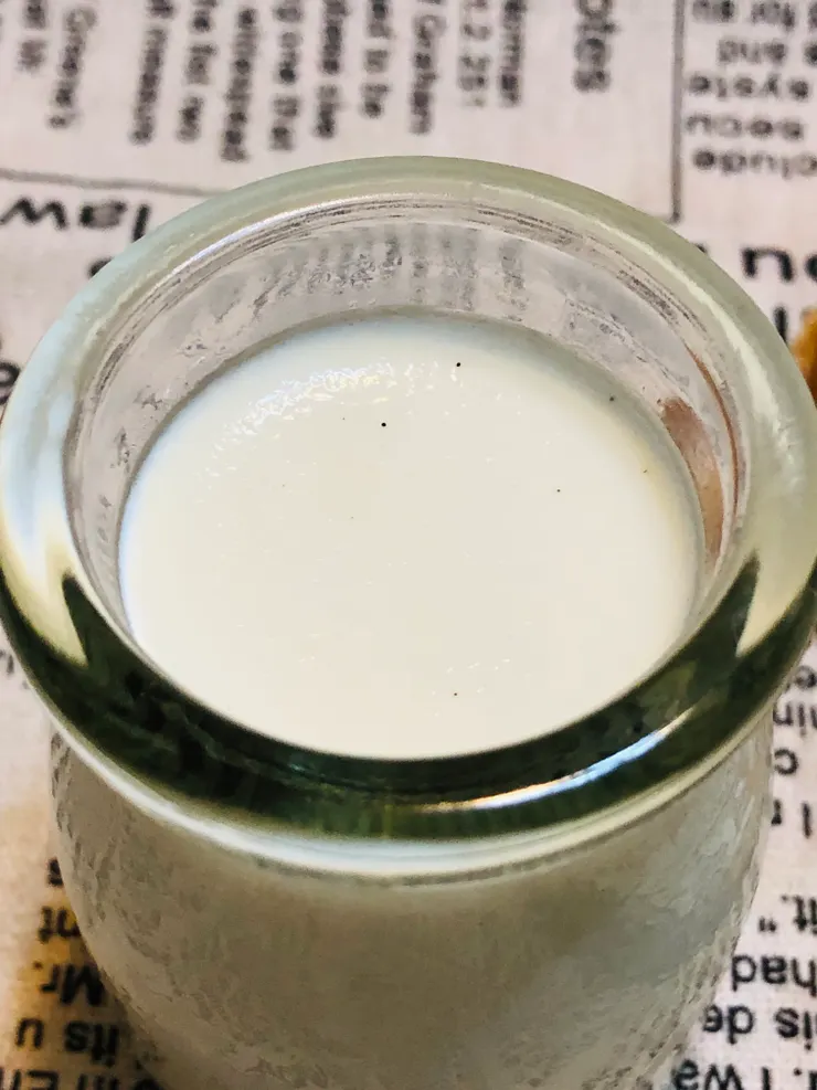 浮在奶酪表面的小黑點，就是香草籽。