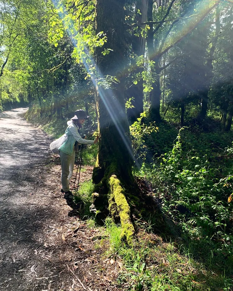 圖三：雨後彩虹與天光