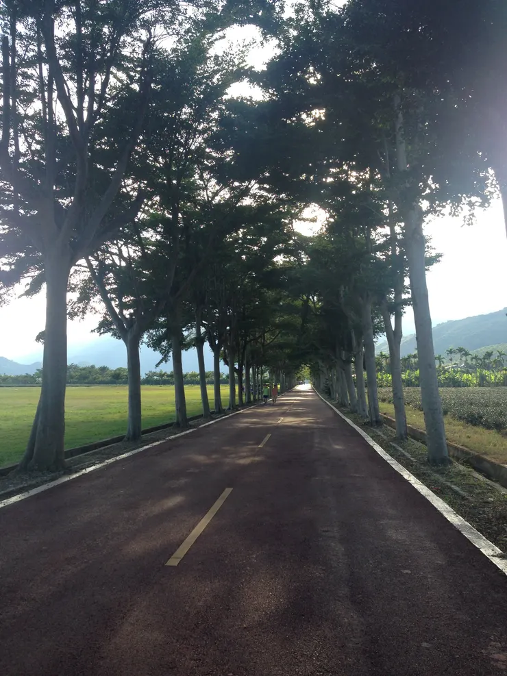 遇見中興新村的美