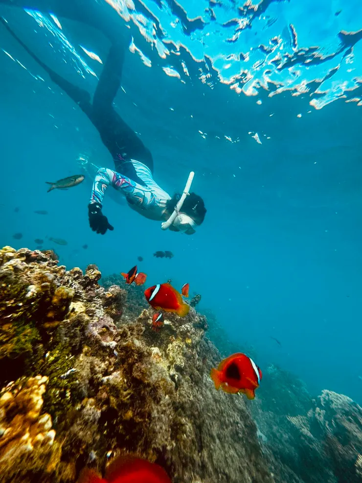 深度沒有任何突破，但是看到墾丁的海底世界了