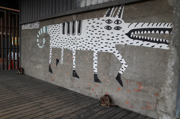 窩在塗鴉下方清理身體的浪貓