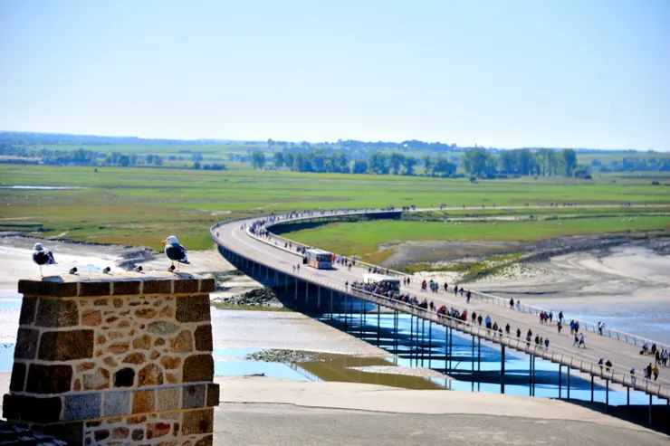 【攀登途中俯瞰來時路，有人搭接駁車，更多人走路。】