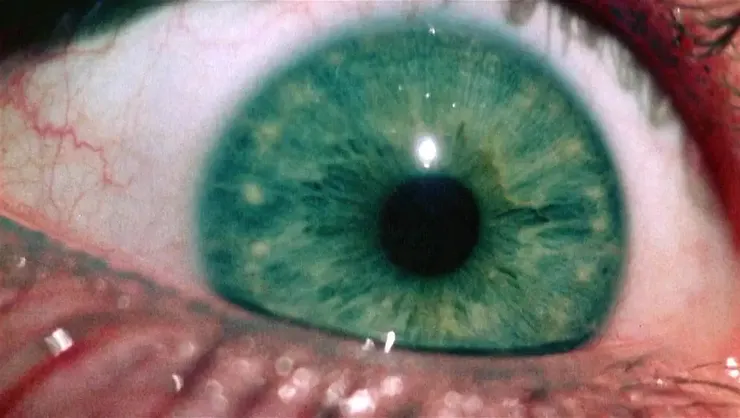 The Texas Chain Saw Massacre (1974)