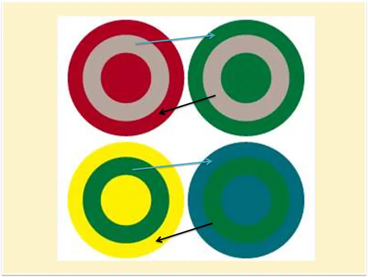 （圖片來源：網路）