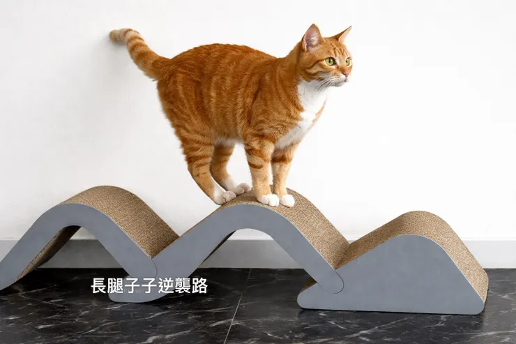 咪咪實在太可愛一定要跟你們分享💙