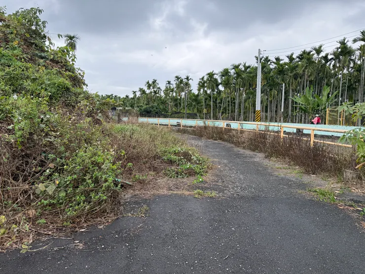 聽闆娘建議騎進小路裡