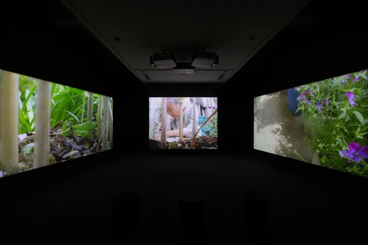 橫溝靜，《受益者》，2025，多螢幕錄像裝置，尺寸依空間而定，藝術家個人收藏，WAKO WORKS OF ART, TOKYO 版權所有，由2025 台北雙年展委託製作。／圖像提供：臺北市立美術館