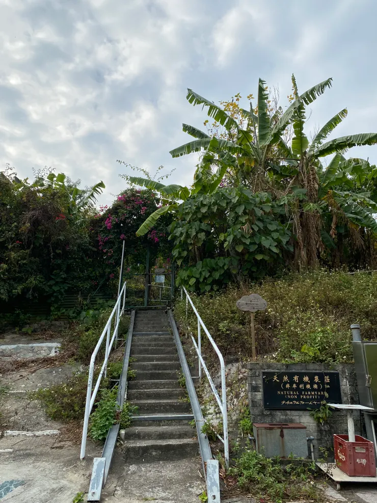 是在港很久的品川先生打理的農莊