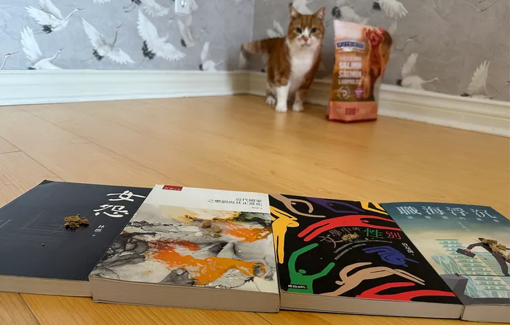 預備備~ (抓到牆角站好)