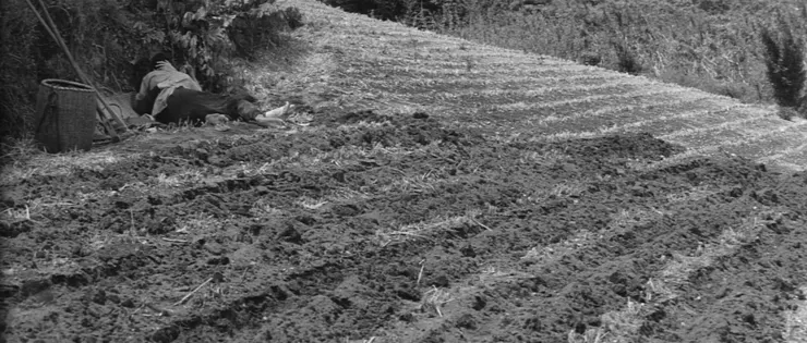 6.《清作之妻》（清作の妻，1965）🇯🇵 dir. Yasuzo Masumura