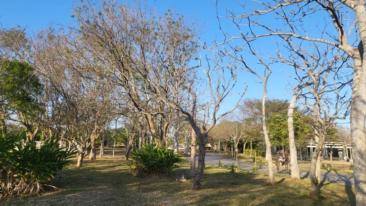 台中都會公園(李建崑攝影)