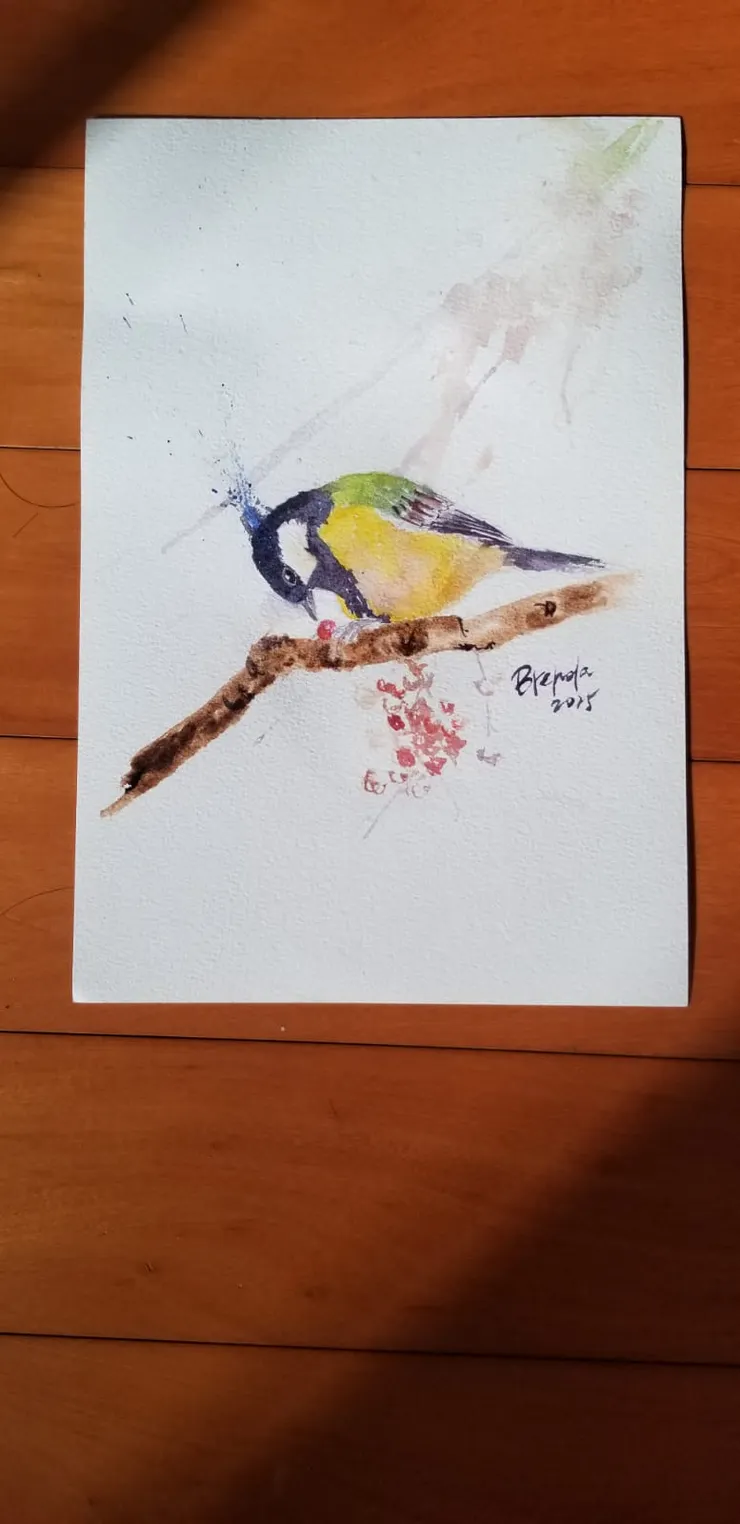 放在陽光下試試拍