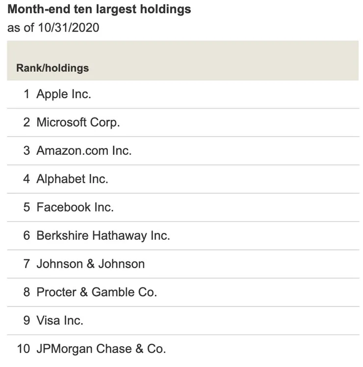 美國大型股指數 ETF(VV) 的前十大持股，資料來源：https://investor.vanguard.com/etf/profile/VV