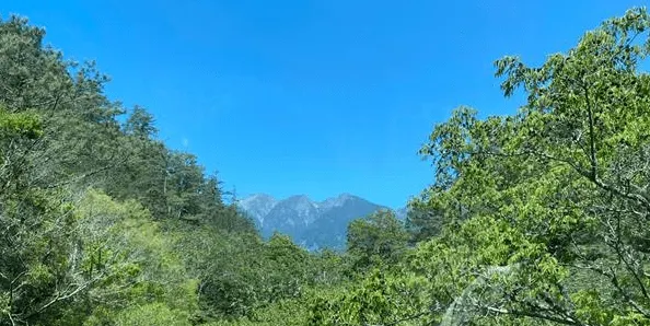 凹處裏露出的山峰便是雪山主峰