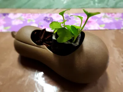 和Gemini聊天問他要辦哪張海外信用卡