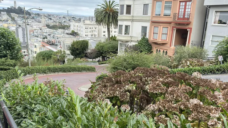 九曲花巷居高臨下可看到港灣