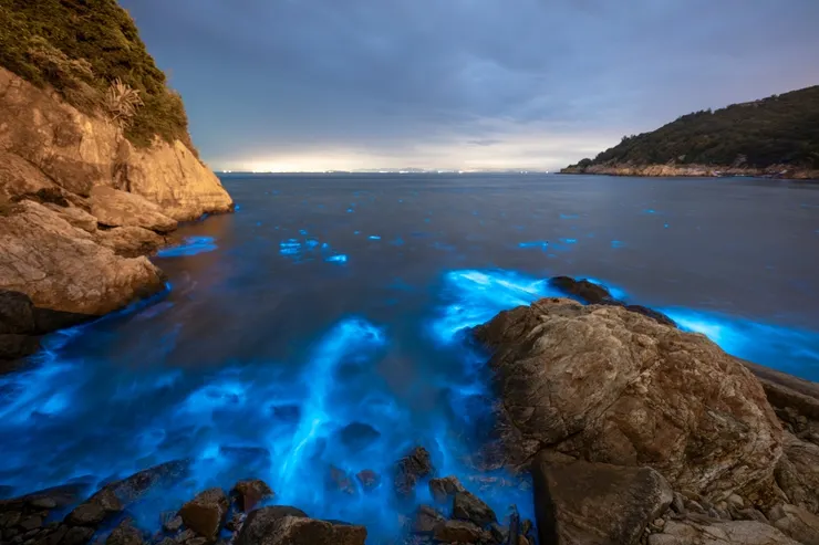 Source：Shutterstock