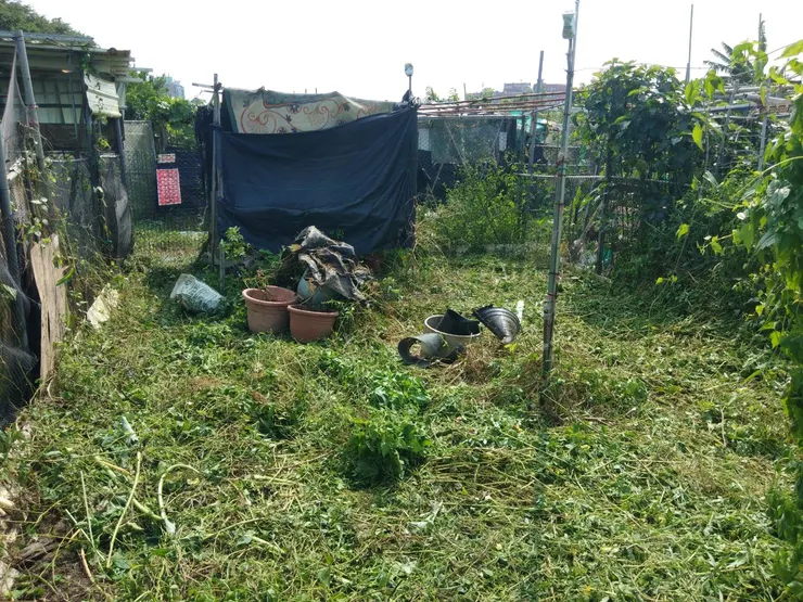 被覆蓋的草堆裡都是數不盡的垃圾