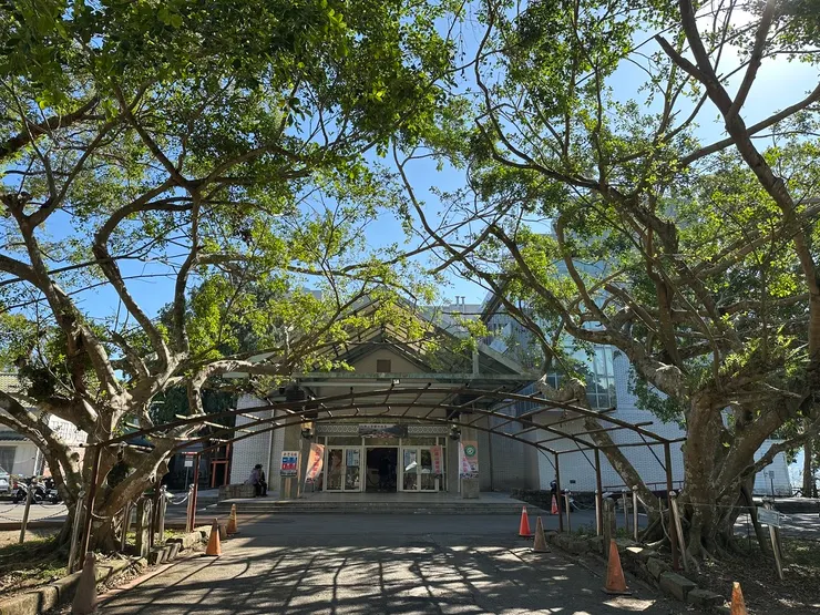 活動中心前有蔣公與夫人種植的夫妻樹