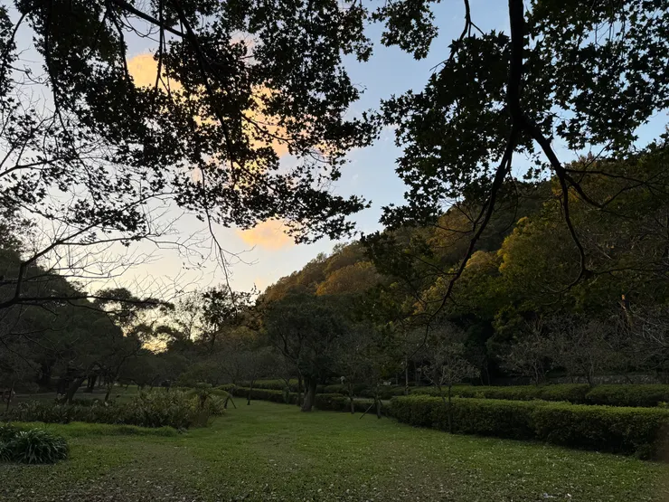 陽明山的夕陽