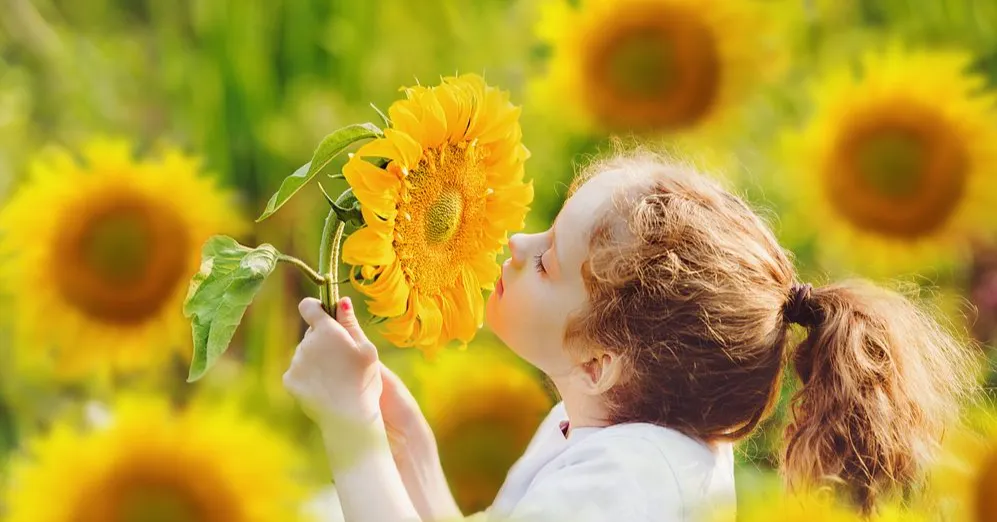 安奇珮奇的沙龍