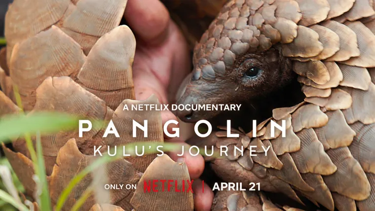 Pangolin: Kulu's Journey(2025)