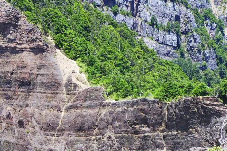 接著又是陡下至森林中 ，黃家小隊回拍我們下布秀蘭山稜線崖壁